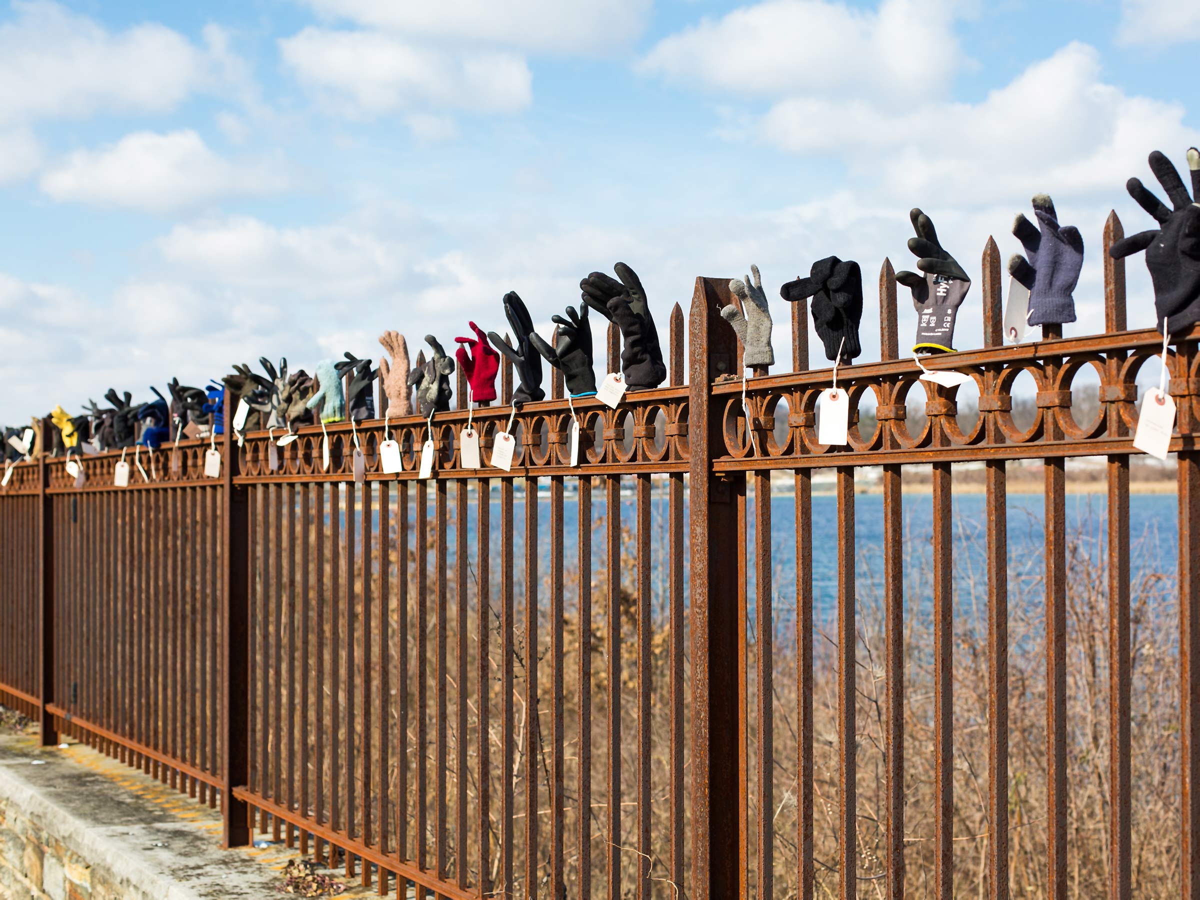 Dozens of lost gloves arranged on a long fence for the public art installation Library of Lost Gloves and Lost Loves by Bruce Willen