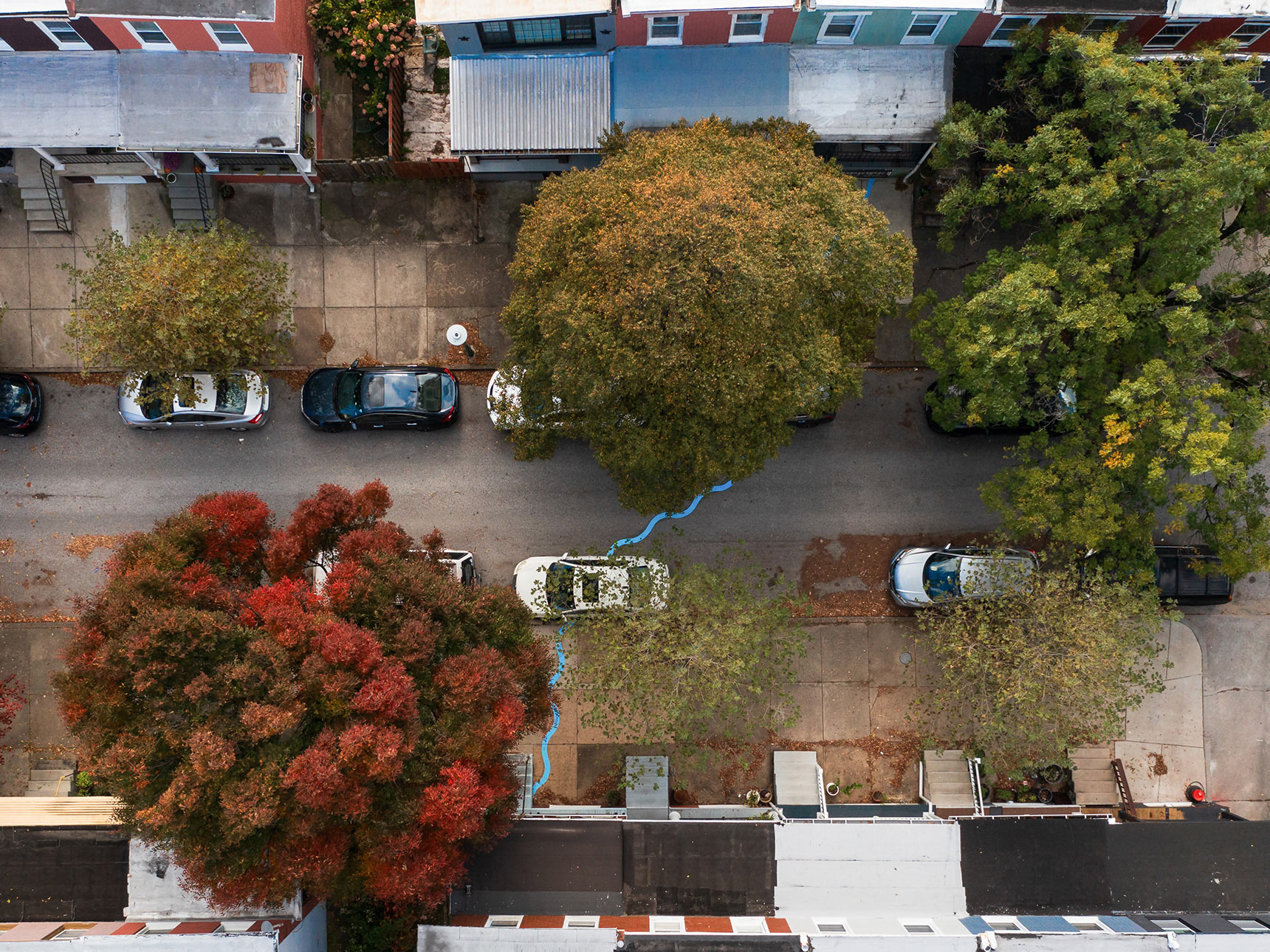 Aerial photo of a public art installation mapping the path of an underground stream. A bright blue wavy line snakes all the way across a roadway and sidewalks between two blocks of Baltimore rowhouses. Red and orange trees show fall colors.