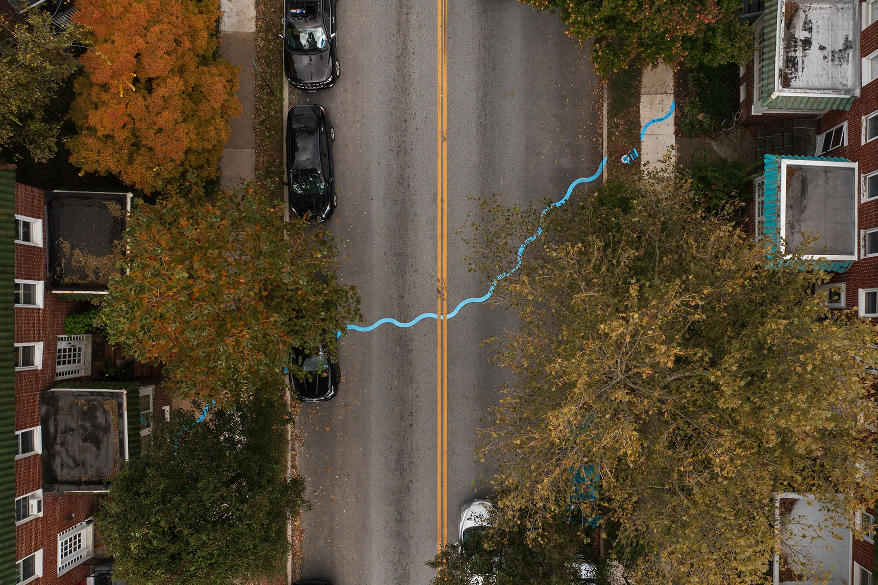 Aerial photo of a public art installation mapping the path of an underground stream. A bright blue wavy line snakes all the way across a roadway and sidewalks between two blocks of Baltimore rowhouses. The blue line appears to duck below yellow road markings and the grass strips at the edge of the street. Yellow and orange trees show fall colors.
