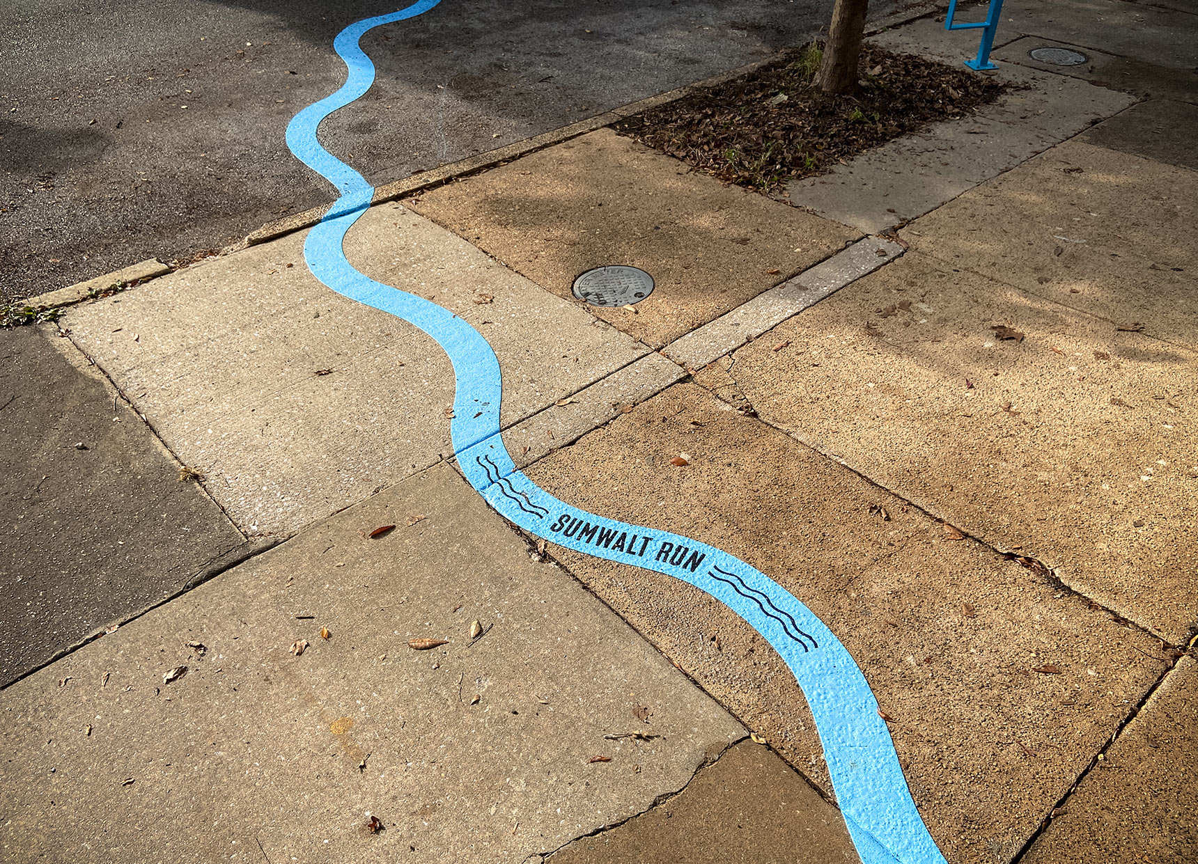 Photo of a public art installation mapping the path of an underground stream onto the pavement, showing a bright blue wavy line snaking across the sidewalk and onto the street. The words Sumwalt Run are imprinted onto the line.