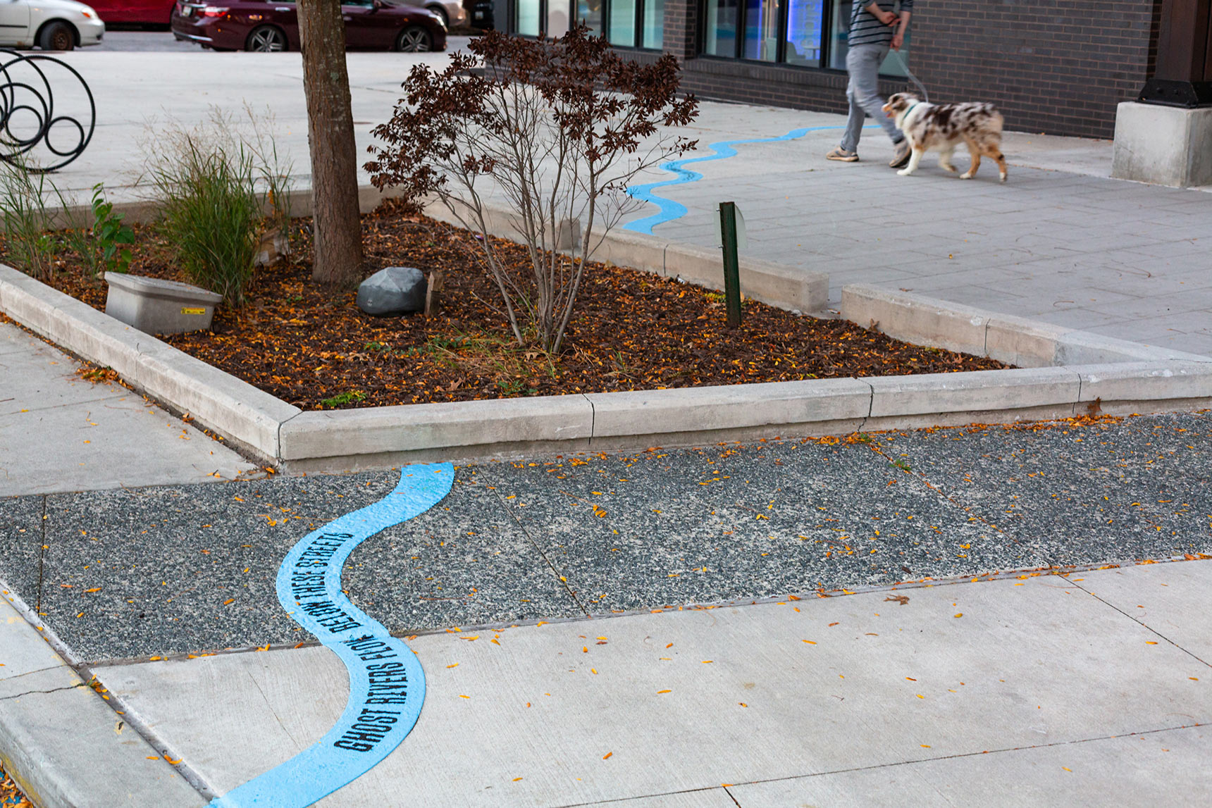 Photo of a public art installation mapping the path of an underground stream. A bright blue wavy line crosses a sidewalk and dead-ends at a building. A dog walker passes by in the background.