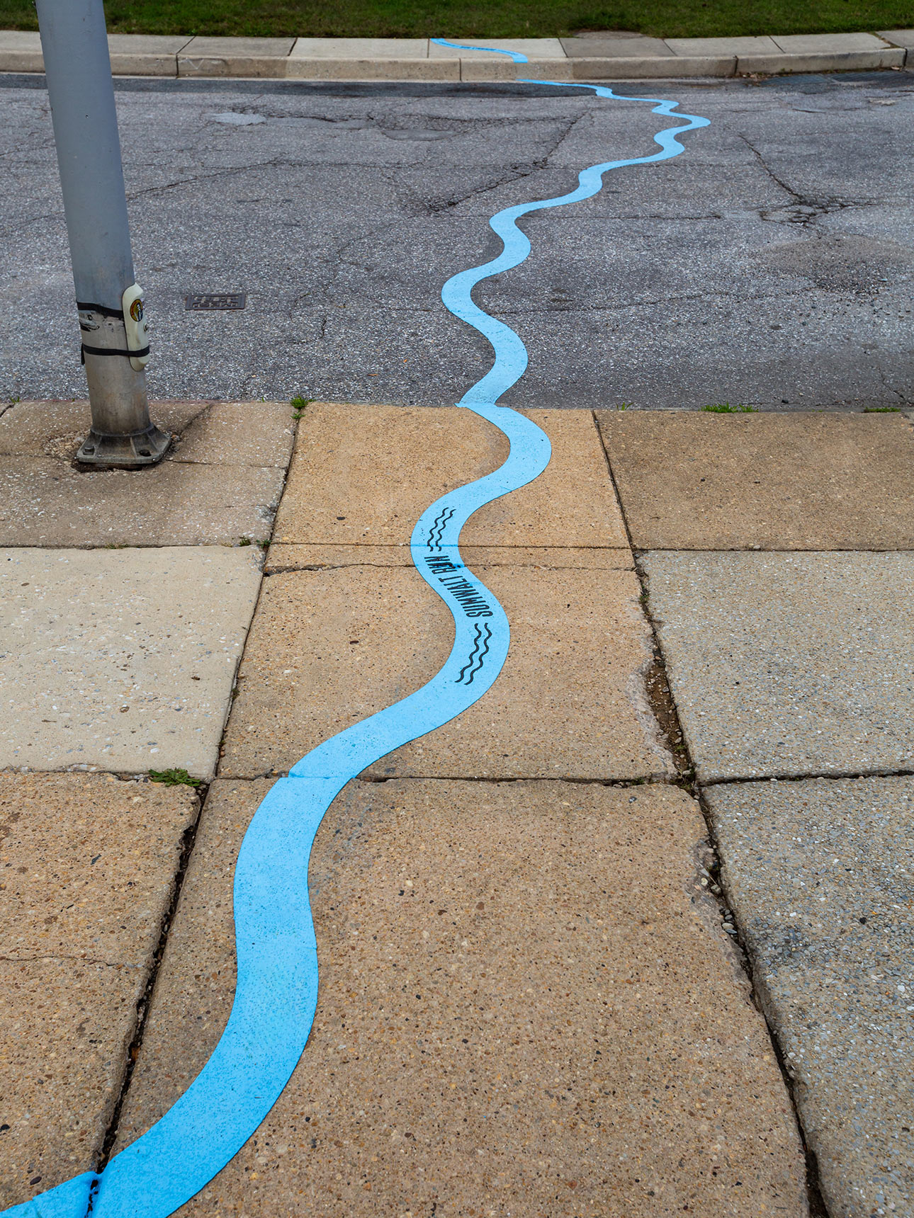 Photo of a public art installation mapping the path of an underground stream onto the pavement, showing a wide sidewalk and street, with a six-inch wide bright blue wavy line snaking all the way across to the grass on the other side. The words Sumwalt Run are imprinted onto the line.